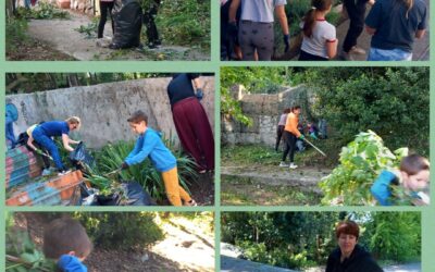 Akcija čišćenja školskog okoliša